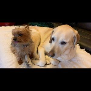 Meet your Posher, Corina